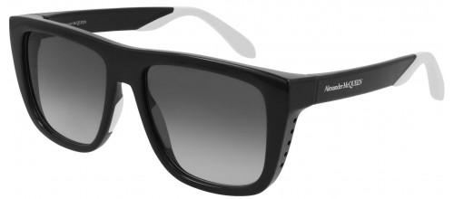 AM0293S